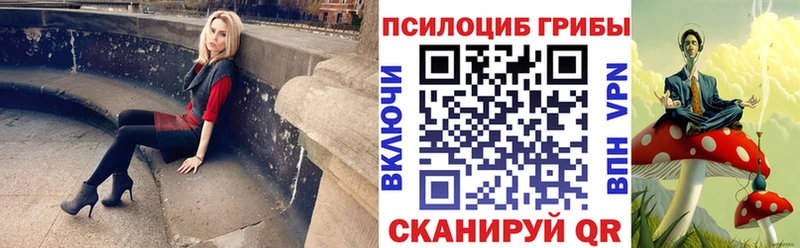 как найти закладки  Волгоград  это наркотические препараты  Галлюциногенные грибы Magic Shrooms 